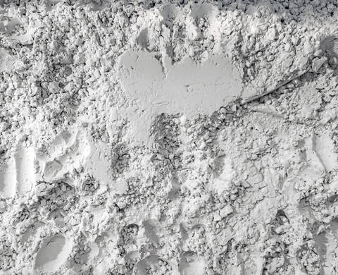 Micronized Shells Kiehl's Ingredient