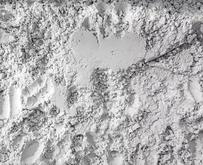 Coquilles micronisees, ingredient de Kiehl’s