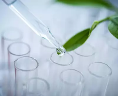 Botanical Blend Kiehl's Ingredient