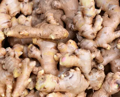 Ginger Root Extract Kiehl's Ingredient