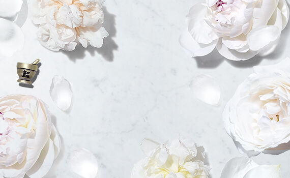 Discover the Skin Benefits of Peony Root Extract Kiehl s