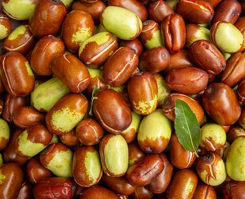 Jojoba Seed Powder Kiehl's Ingredient