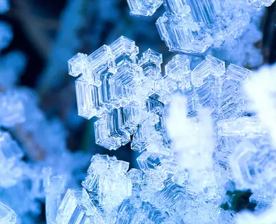 Glacial Glycoprotein Kiehl's Ingredient
