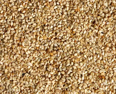 Huile de graines de sesame, ingredient de Kiehl’s