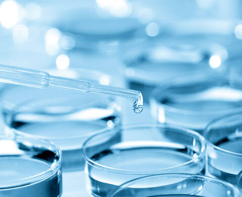 Lipo Hydroxy Acid Kiehl's Ingredient