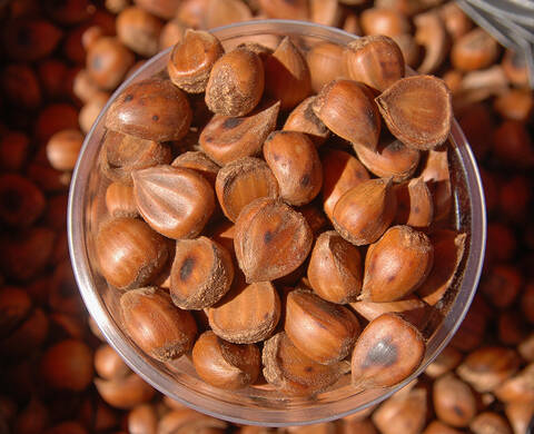Kukui Nut Oil Kiehl's Ingredient