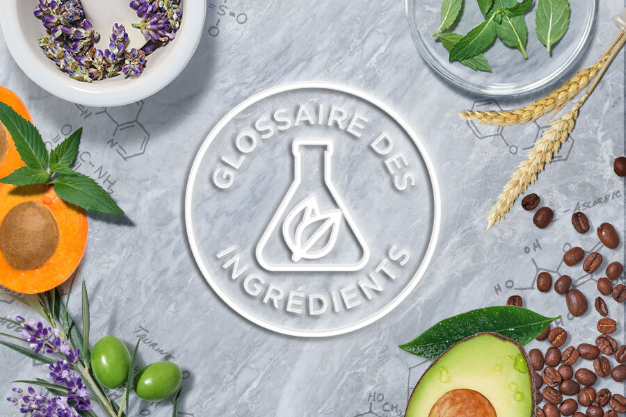 Kiehl's skincare ingredient glossary