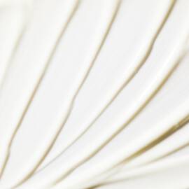 Deluxe Hand & Body Lotion