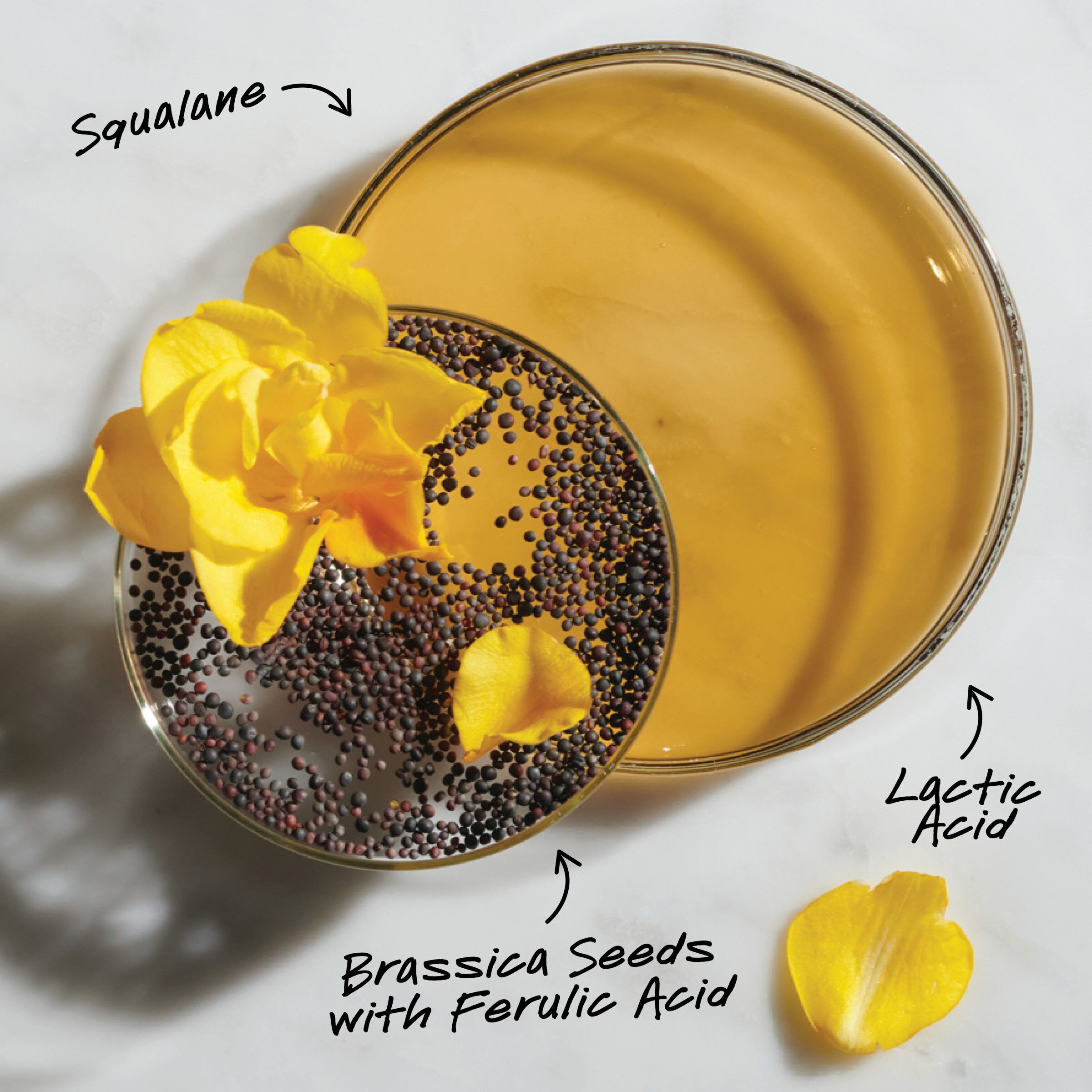 Essence faciale rajeunissante Ferulic Brew