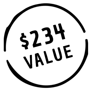 badge234